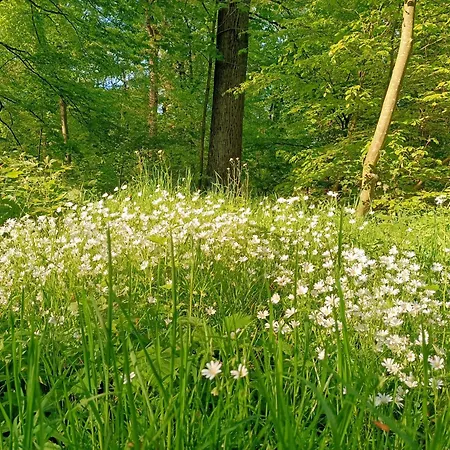 Urlaub An Nordsee Und Elbmuendung Otterndorf Medemkate *