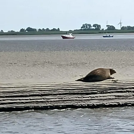Urlaub An Nordsee Und Elbmuendung Otterndorf Medemkate 別荘 *